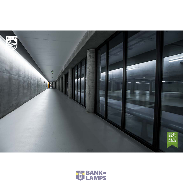 CorePro, LEDtube, T8, EM/Mains, 1200 mm, 17.5 W, 36W TL-D, 3000 K, 4000 K, 6500 K, 2250 lm, 2400 lm, 2400 lm, CRI 80, 50000 hour(s) image 11