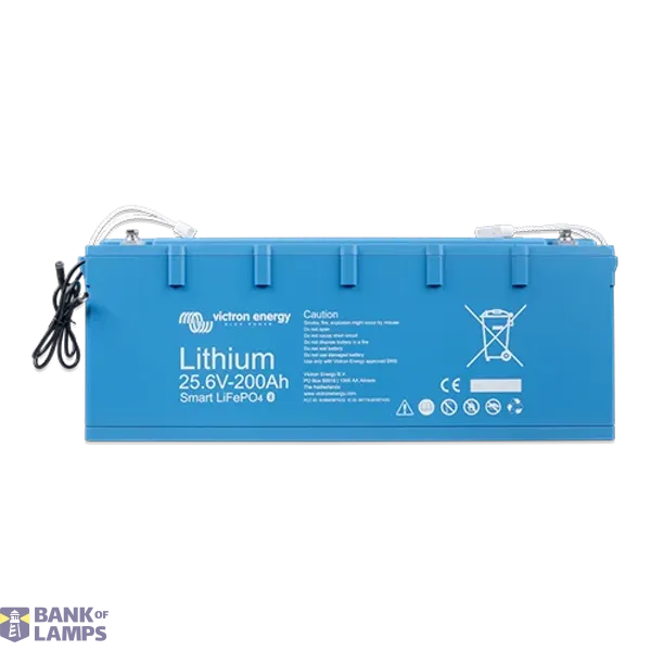 Dummy LiFePO4 Battery 25,6V/200Ah Smart-a image 1