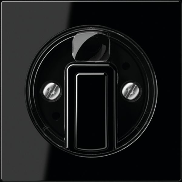 Centre plate with knob for rotary switch A1541BFSW image 2