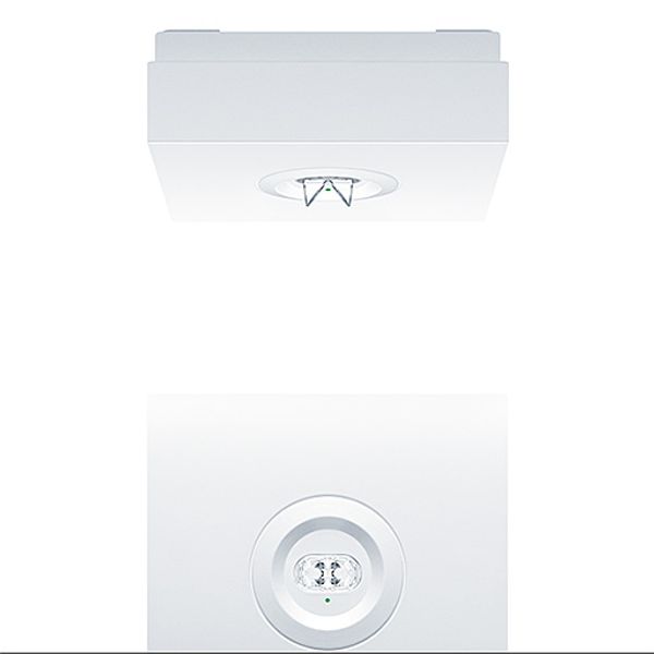 RESCLITE PRO MSC ESC HP E1D WH - Safety luminaire image 1