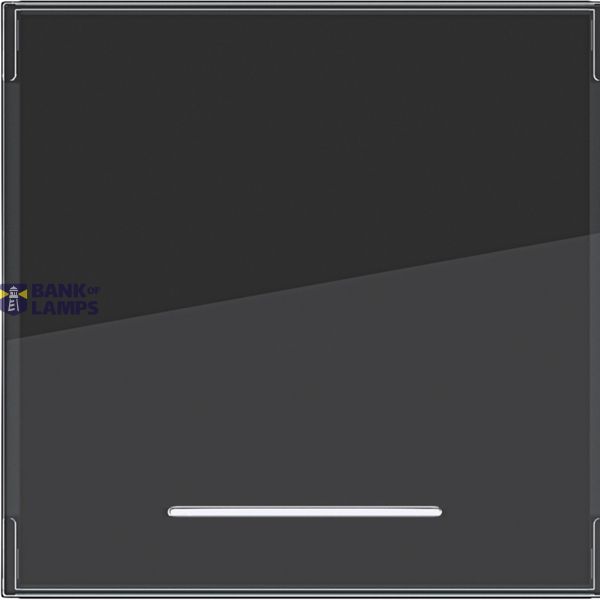 Rocker single, large text field, clear lens, A.x/C.x, night black matte image 1