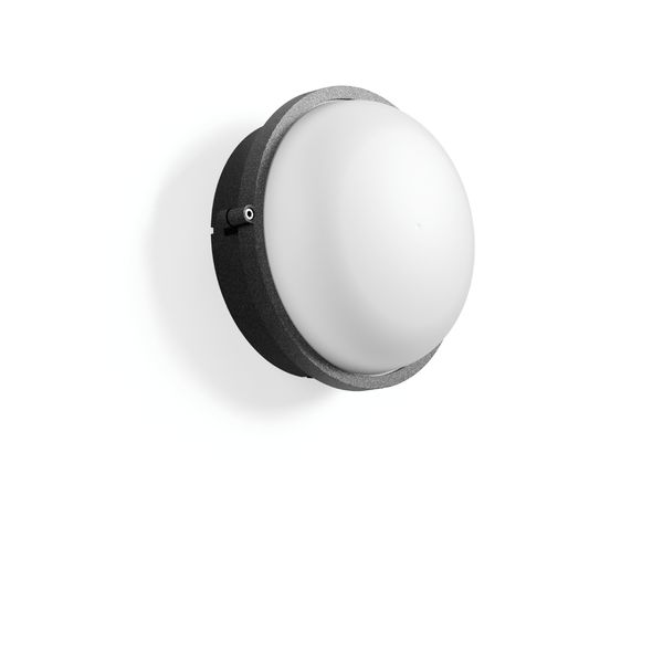 Alu-Superior, anthracite, on/off Ceiling and wall luminaires, D 245 H  image 1