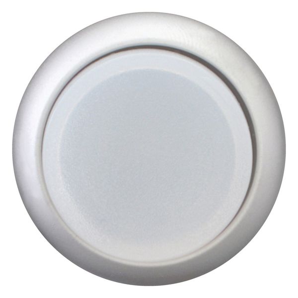 M22-DRLH-W Illuminated pushbutton actuator, RMQ-Titan, Extended, maintained, White, Blank, Bezel: titanium image 2