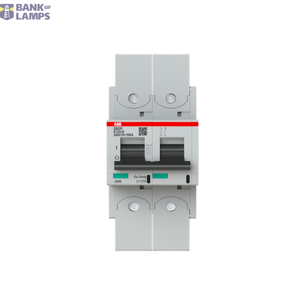 S802P-K125-R circuit breaker image 1