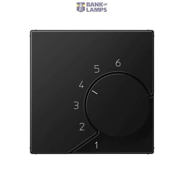 centre plate image 1