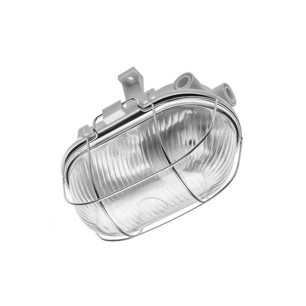 Luminaire SANGUESA for E27 lamps with protective metal mesh, max. 40 W, AC220-240V, IP54, glass shade, white image 1