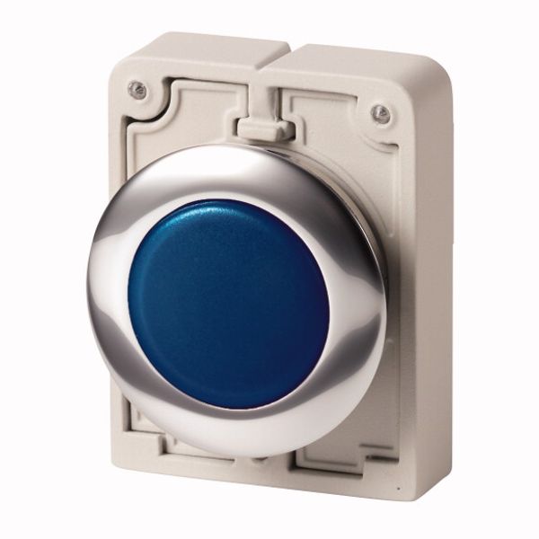 M30C-FL-B Indicator light, RMQ-Titan, Flat, Blue, Metal bezel image 1