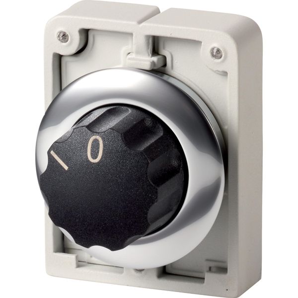 M30C-FWR Changeover switch, RMQ-Titan, With rotary head, maintained, 2 positions, inscribed, Metal bezel image 3