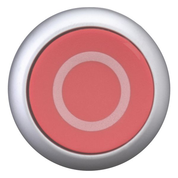 M22-D-R-X0 Pushbutton, RMQ-Titan, Flat, momentary, red, inscribed, Bezel: titanium image 6