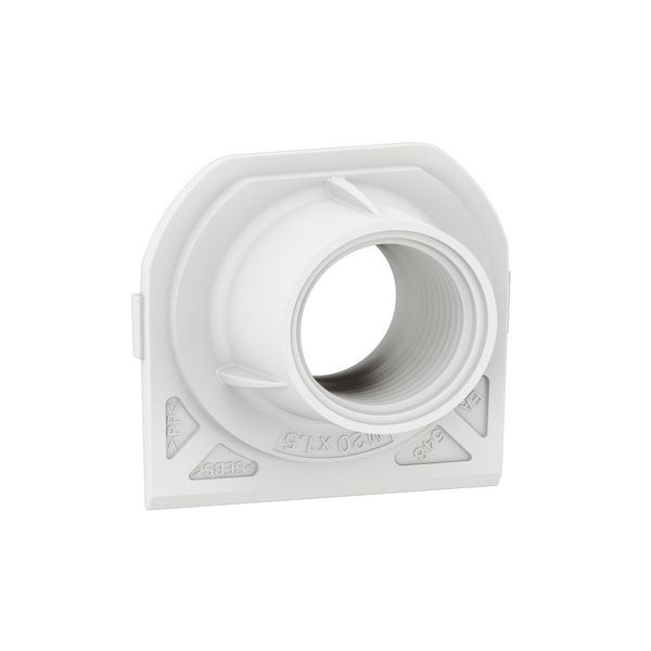 PLEXO CABLE GLAND 1 ENTRY ISO 20 - WHITE image 1