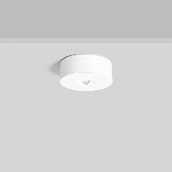 LUCIO 2, 740, white, on/off Ceiling luminaires, D 110 H 46, SBS, 8 h,  image 1