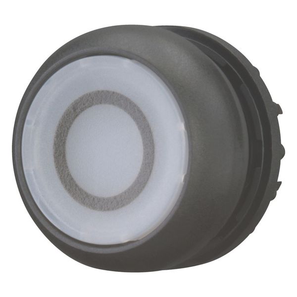 M22S-DRL-W-X0 Illuminated pushbutton actuator, RMQ-Titan, Flush, maintained, White, inscribed 0, Bezel: black image 5