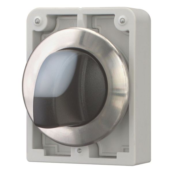 M30I-FWLK3-W Illuminated selector switch actuator, RMQ-Titan, with thumb-grip, momentary, 3 positions, White, Front ring stainless steel image 5