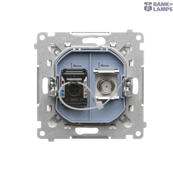 Two gang switch, (Mechanism), 10AX, quick connection image 1