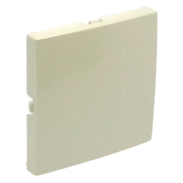 BLIND COVER PLATE PEARL image 1