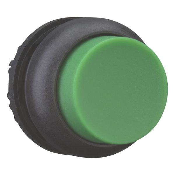 M22S-DH-G Pushbutton, RMQ-Titan, Extended, momentary, green, Blank, Bezel: black image 8