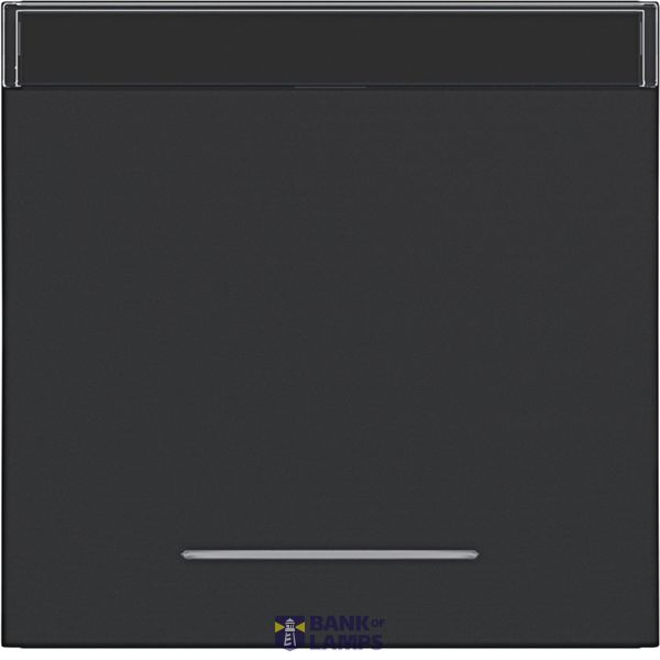Rocker single, text field, clear lens, A.x/C.x, night black matte image 1
