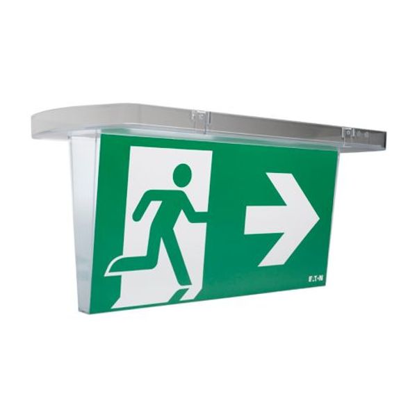 SL20,Cone Diffuser Cone diffuser for SafeLite SL20 SL2CD emergency light (SL2CD) image 1