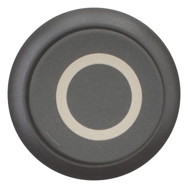 M22S-DRH-S-X0 Pushbutton, RMQ-Titan, Extended, maintained, black, inscribed, Bezel: black image 4