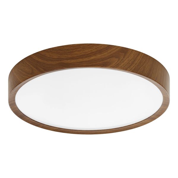 MUSURITA ceiling light 98602 image 1