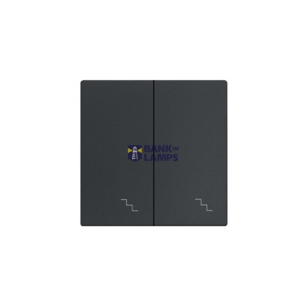 Buttons for the double switch with the "stairs" pictogram, (rocker), Simon 24, IP20, graphite mat image 1