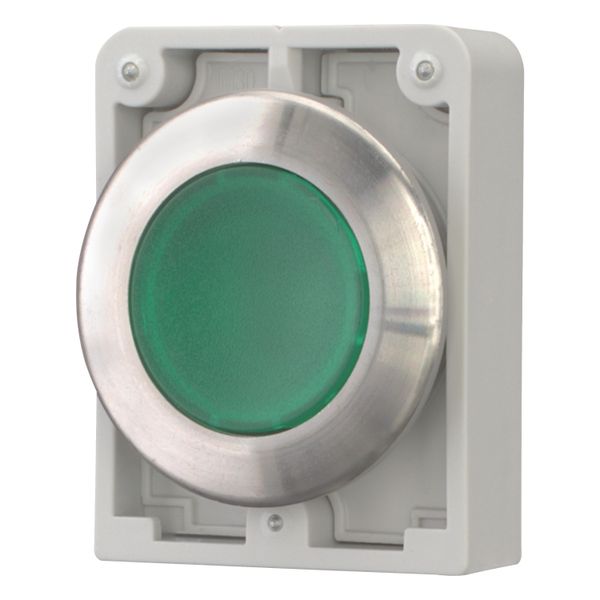 M30I-FDL-G Illuminated pushbutton actuator, RMQ-Titan, flat, momentary, green, blank, Front ring stainless steel image 3