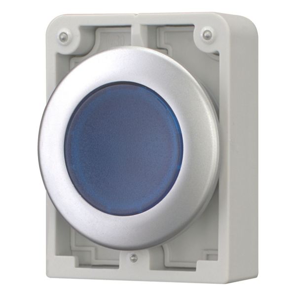 M30C-FDRL-B Illuminated pushbutton actuator, RMQ-Titan, Flat, maintained, Blue, Blank, Metal bezel image 5