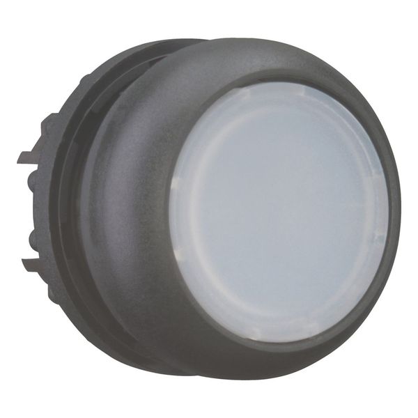 M22S-DL-W Illuminated pushbutton actuator, RMQ-Titan, Flush, momentary, White, Blank, Bezel: black image 11