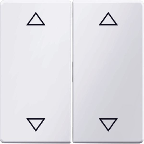 Rocker 2-gang Berker Q.1/Q.3/Q.7/Q.9 arrow symbol polar white velvety image 1