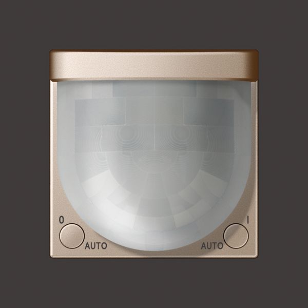 Standard automatic switch 2,20 m A3281CH image 4