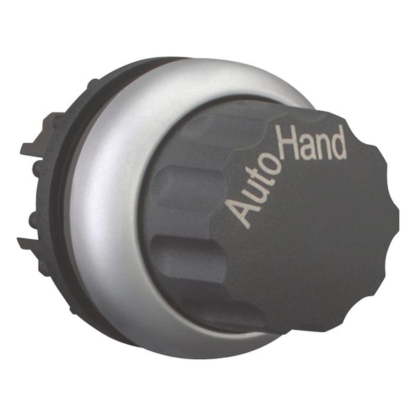 M22-WR-X91 Changeover switch, RMQ-Titan, With rotary head, maintained, 2 positions, inscribed, Bezel: titanium, AUTO HAND image 12