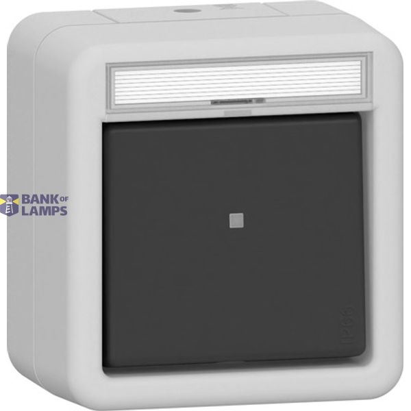 rocker btn 2-way m-c in.sp. WD surface-mounted grey image 1