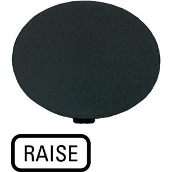 M22-XDP-S-GB17 Button plate, mushroom black, RAISE image 2