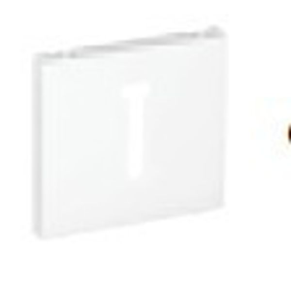 COV PLAT F/T8 FRENCH TELEP SOCKET MATTE BLACK image 1