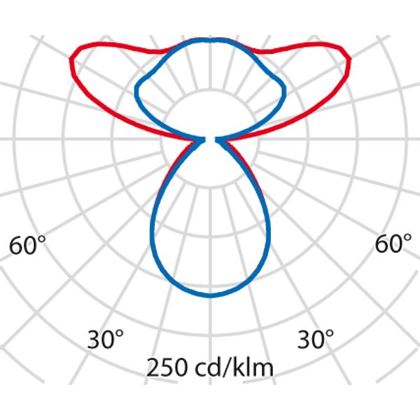 SL720+PL RXL 41 S/C 830 WIT DALI MP image 8