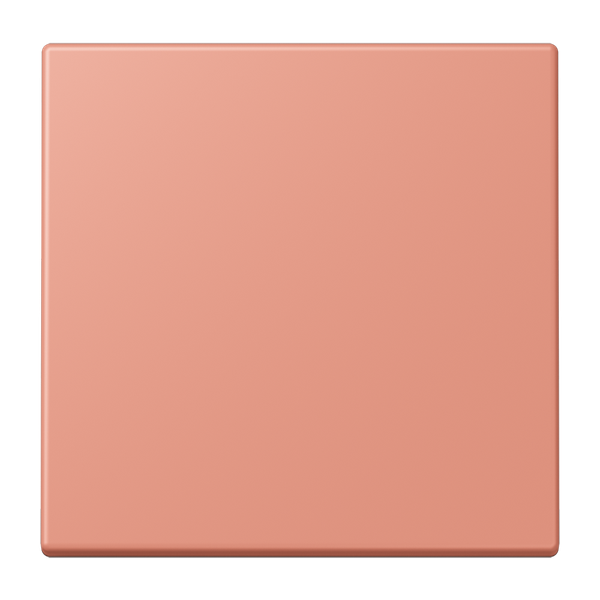 LB Management push-button 1-gang LC1700233 image 1