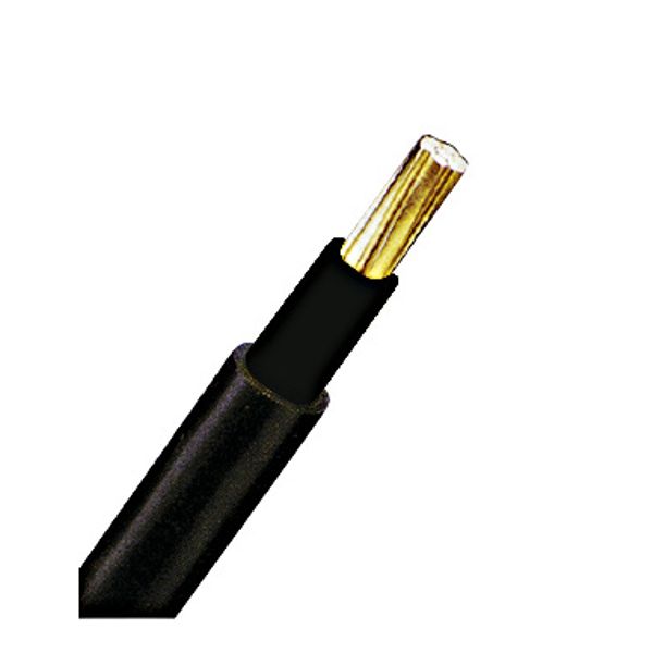 PVC Insulated Heavy Current Cable 0,6/1kV NYY-O 1x16re bk (The price is shown without markup on metals. Request a quote for accurate information) image 1
