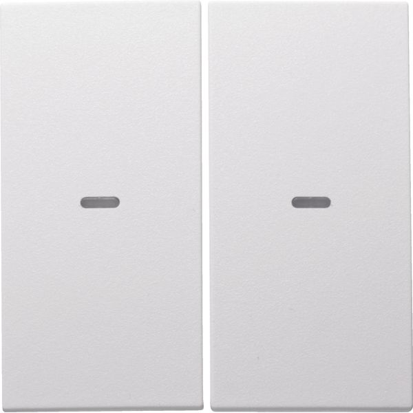 Cover f. 2gang f. push-b. module, clearlenses, S.1/B.3/B.7, p.white ma image 3