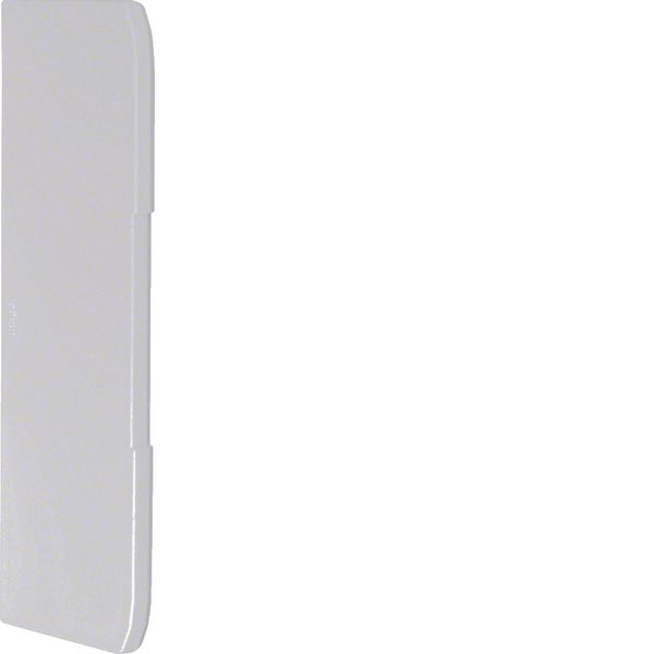 Endcap overlapping for wall trunking BRN 70x210mm of PVC in light grey image 1