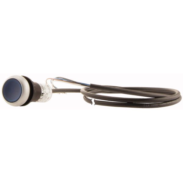 C22-DRL-B-K10-24-P65 Illuminated pushbutton actuator, classic, flat, maintained, 1 N/O, blue, 24 V AC/DC, cable (black) with non-terminated end, 4 pole, 3.5 m image 3