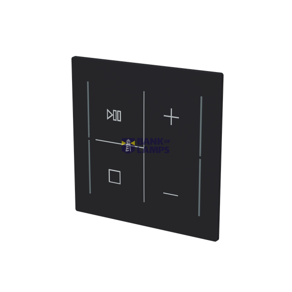 LFMW/A.4.70.1-45M Cover plate with legend with Symbols "music control" black matt - Trevion® image 2