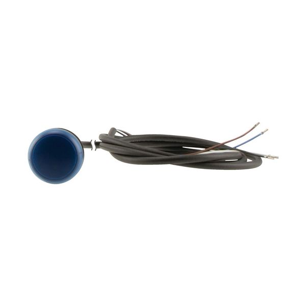 C22-L-B-24-P65 Indicator light, Flat, Cable (black) with non-terminated end, 4 pole, 3.5 m, Lens Blue, LED Blue, 24 V AC/DC image 13