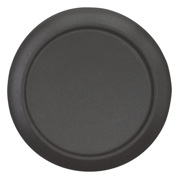 Pushbutton, Flat, momentary, 1 NC, Screw connection, black, Blank, Bezel: black image 10