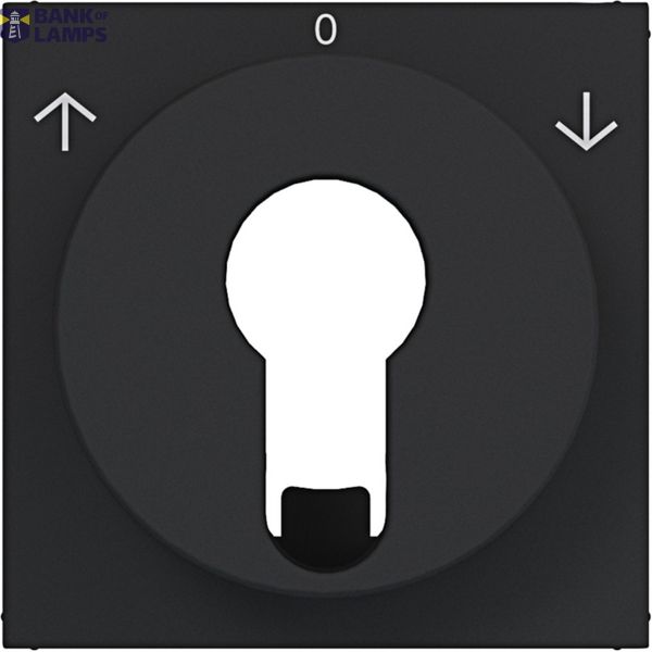 Centr.pl. blind switch/pulse driver DIN-cylinder arrow symbol A.x/C.x black mat image 1