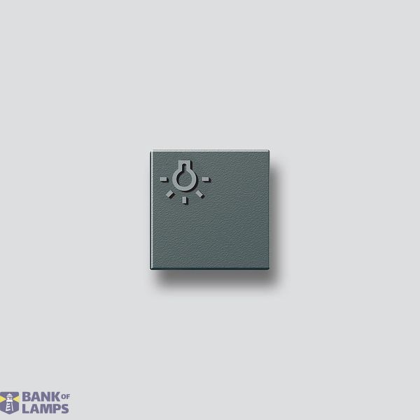 TLM 61x-01, BTLM 650-... DG Light button with light symbol image 1