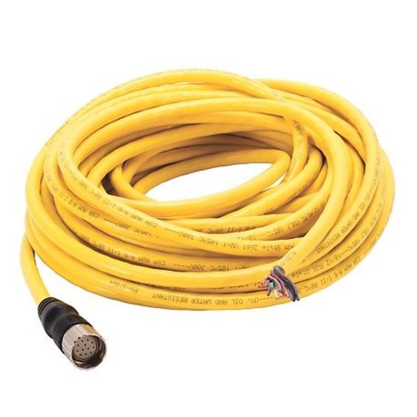 Allen-Bradley 889M-F12AH-15 M23 Cable, Female, Straight (Int Threads), Female, Straight (int threads), Standard Materials, 12-Pins, 12-Pins, Cable, No Connector, Cable- IEC Stndrd Color Code image 1