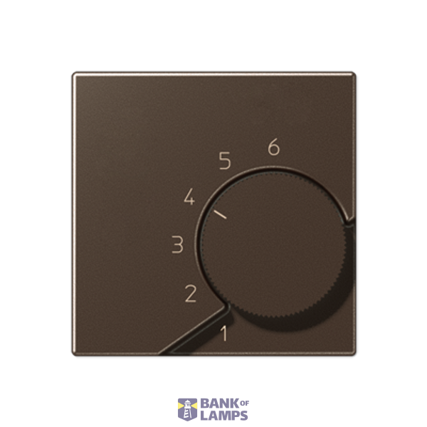 centre plate image 1