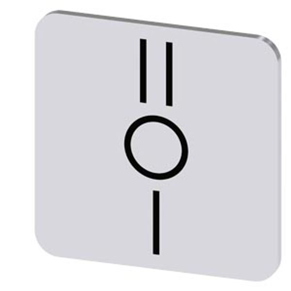 Labeling plate 22x22 mm, silver-colored label, icon: I* O II (below each other) image 1
