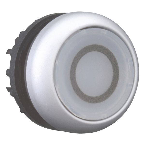 M22-DL-W-X0 Illuminated pushbutton actuator, RMQ-Titan, Flush, momentary, White, inscribed 0, Bezel: titanium image 11