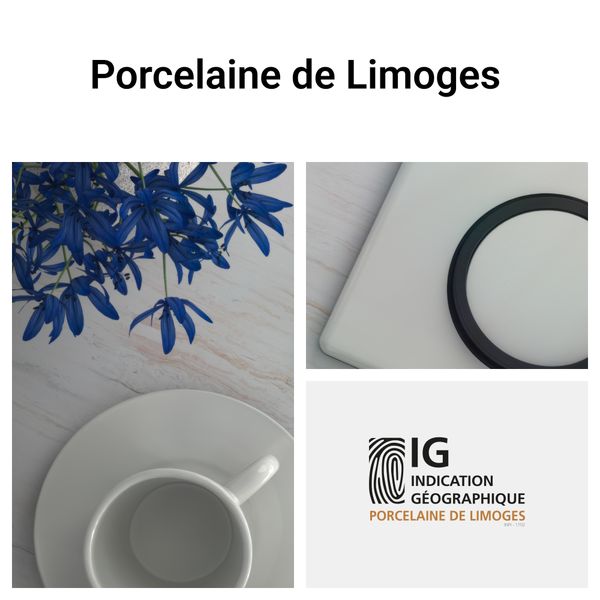 PLATE 2 GANG LIMOGES PORCELAIN image 4